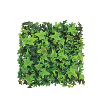 Read Evergreen Direct Reviews